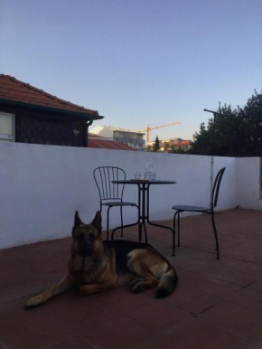 Porto's secret backyard